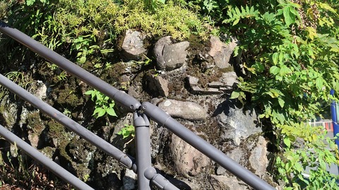 20201025141536_IMG_8711