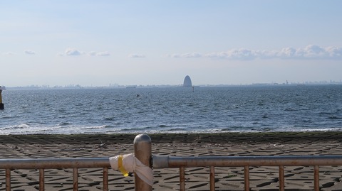 20210515181354_IMG_1511