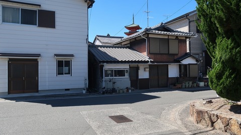 20220702151149_IMG_4849