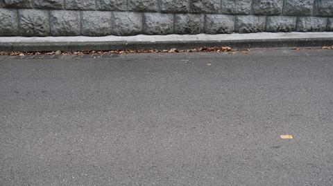 20220625172719_IMG_4640