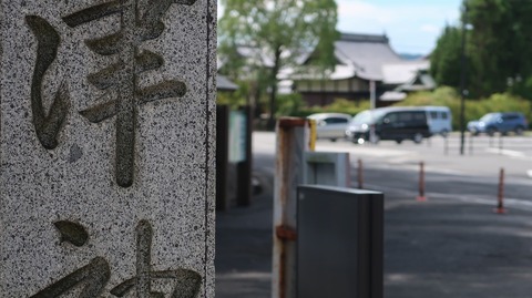 20200810120534_IMG_7202