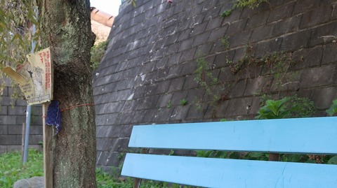 20231007110956_IMG_9592