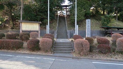 20190210135354_IMG_0911