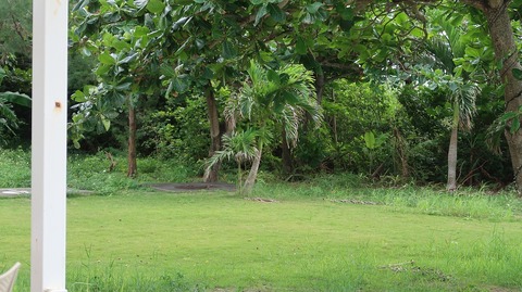 20221118132033_IMG_6878