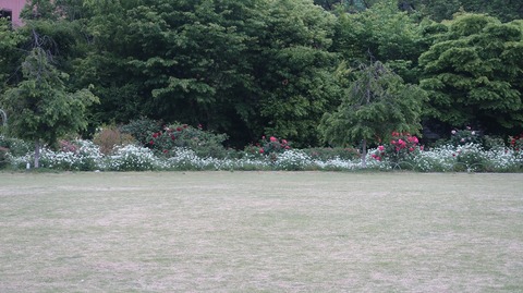 20220508173323_IMG_4175