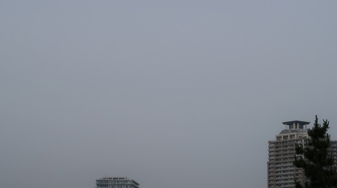 20230610154850_IMG_8469