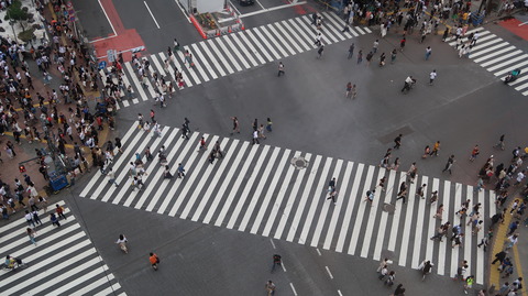 20190721173622_IMG_3079