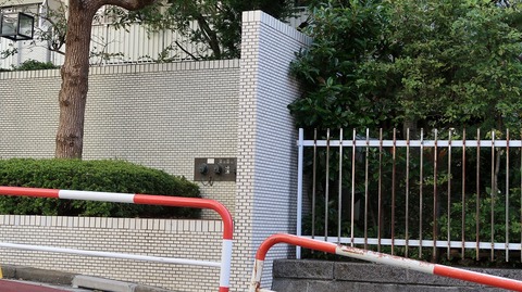 20191102085156_IMG_4643