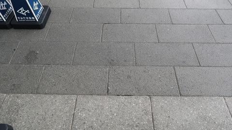 20220828135128_IMG_6072