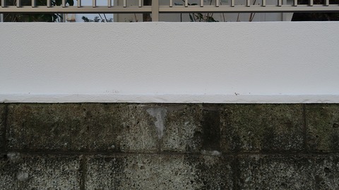 20210213112507_IMG_0379