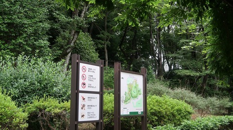 20220611175336_IMG_4609