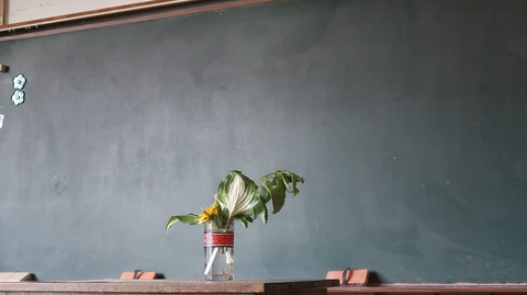 20220507120903_IMG_4124