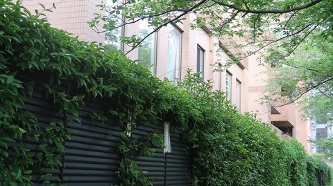 20230610170531_IMG_8496