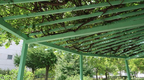 20220812135243_IMG_5675