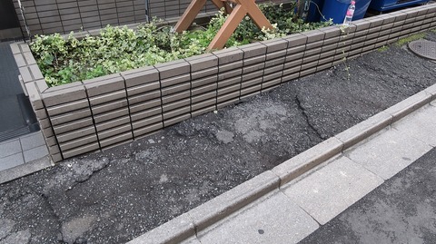 20221010152738_IMG_6574