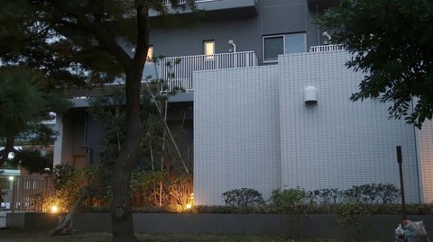 20221127164353_IMG_7125