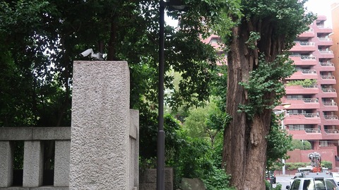 20201004141943_IMG_8407