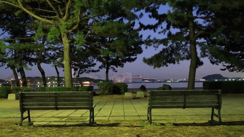 20210206180403_IMG_0299