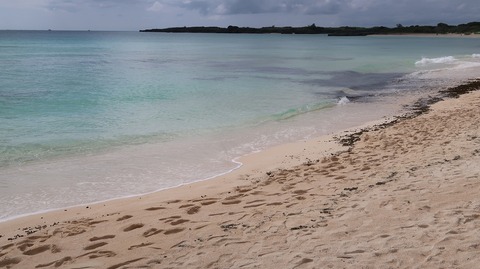 20221118132630_IMG_6885