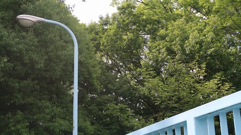 20230527142841_IMG_8338