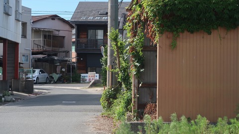 20220702164237_IMG_4930