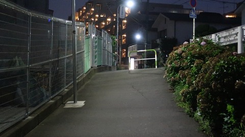 20190728192759_IMG_3194