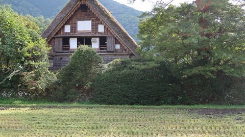 20190918134215_IMG_3977