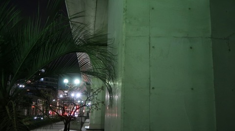 20221127171231_IMG_7169