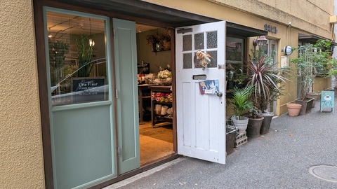 PXL_20251108_033949873