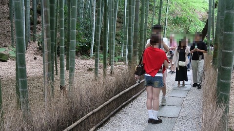 ScreenShot Tool -20250911221912_result_