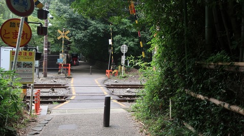 20200808103207_IMG_7079