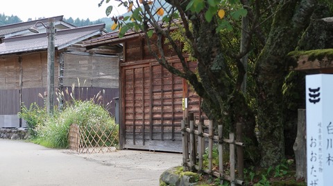 20190918144903_IMG_3997