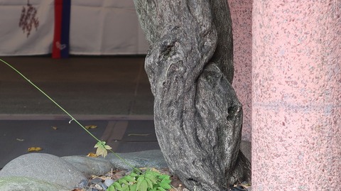 20201004143524_IMG_8422