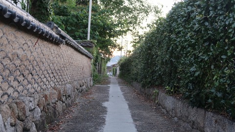 20220701194504_IMG_4813