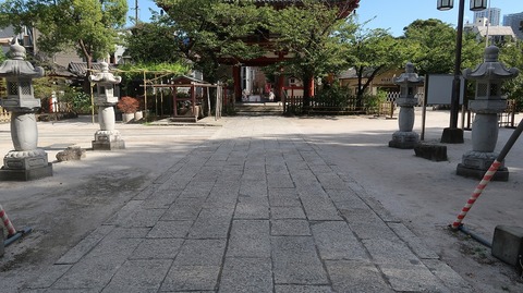 20230811151244_IMG_8995