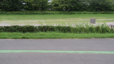 20220806181814_IMG_5413