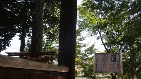 20231007113822_IMG_9618