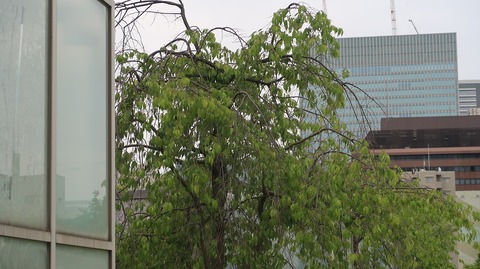 20220508172035_IMG_4165