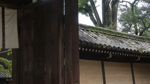 20200808141429_IMG_7140