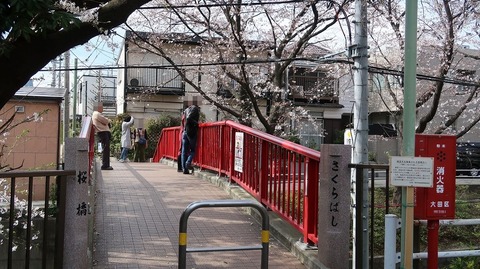 20200327140346_IMG_6367