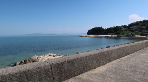 20220701145049_IMG_4763