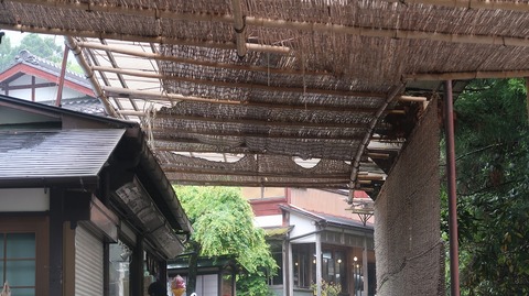 20220501132606_IMG_3752