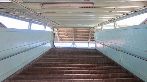 20230814152559_IMG_9105