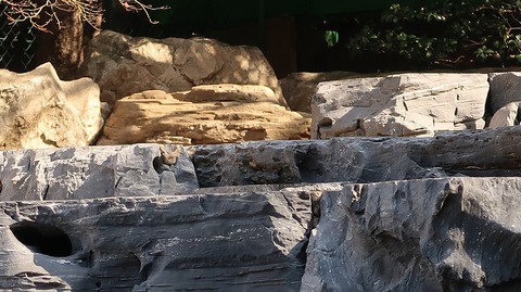 20210213120945_IMG_0416