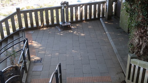 20190309121813_IMG_1151