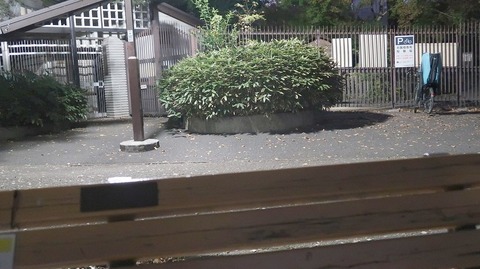 20201114172413_IMG_8867