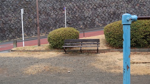 20190209102711_IMG_0877