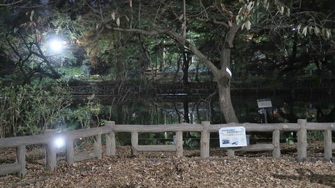 20201114175308_IMG_8870