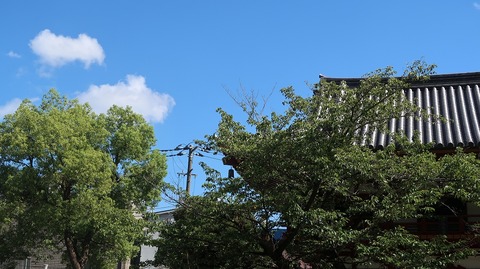 20230811145336_IMG_8968