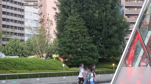 20200815184724_IMG_7417